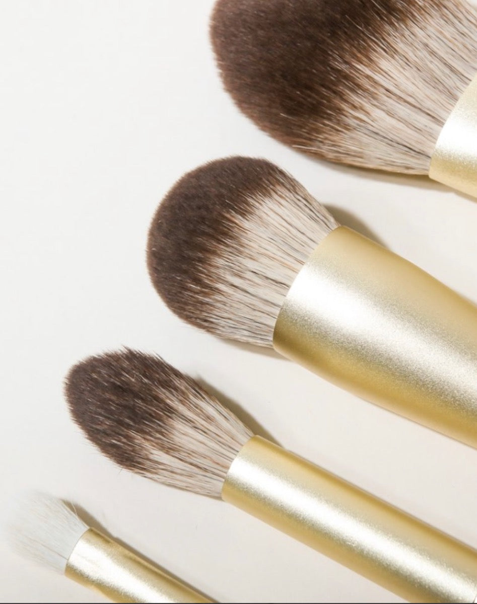 Olcay gulsen 8 piece brush set in leather box nvt