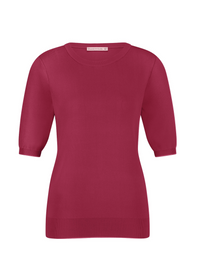 Thumbnail for Lana shortsleeve pullover Studio Anneloes