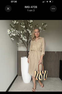 Thumbnail for Shirtdress linnen/viscose pinstripe zand